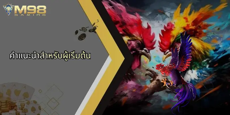 คำแนะนำสำหรับผู้เริ่มต้น