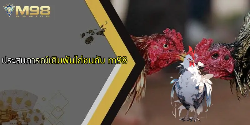 ประสบการณ์เดิมพันไก่ชนกับ m98
